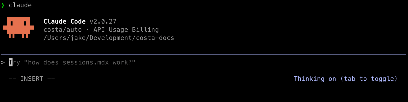 Claude Code CLI interface
