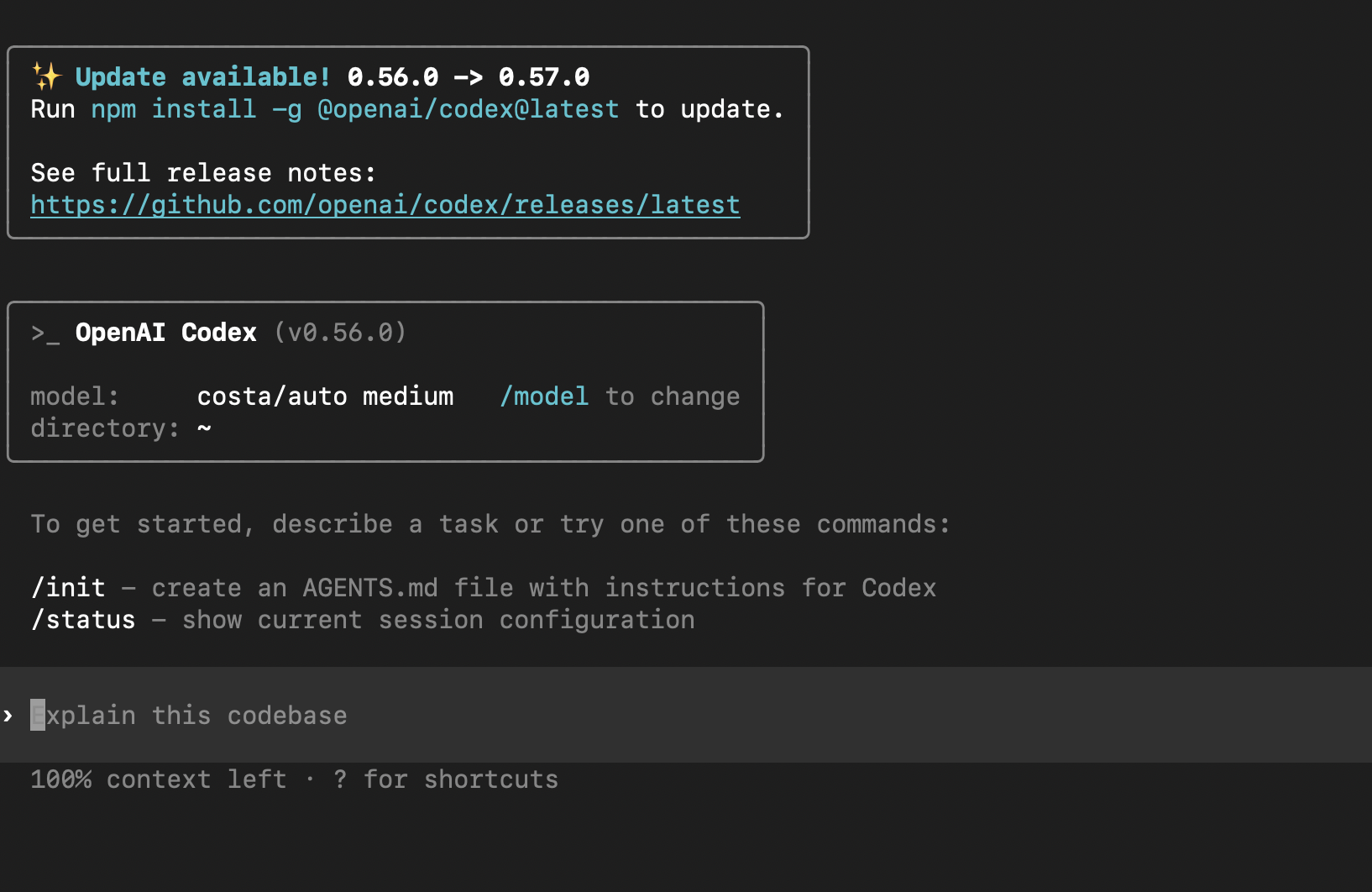 Codex CLI interface